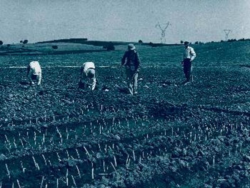 Φυτεύοντας, σκυμμένοι πάνω από τη «μάνα γη». Κάποτε, στην Κατερίνη...