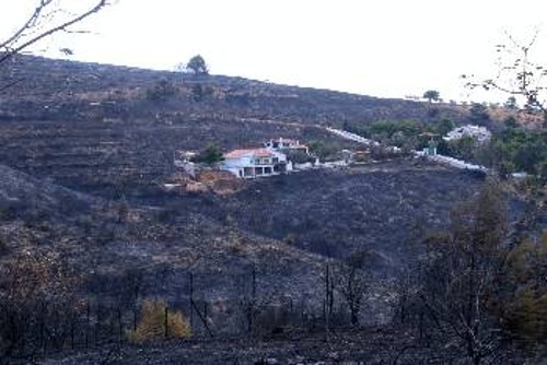 Οι καμένες εκτάσεις αναδασώνονταν διαχρονικά με βίλες, είτε με κυβέρνηση ΝΔ, είτε με ΠΑΣΟΚ