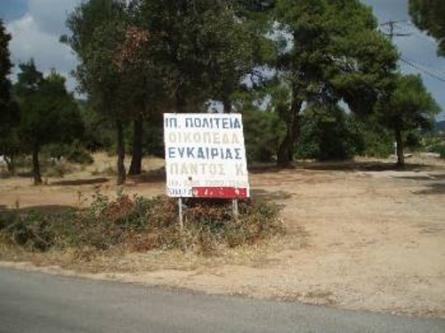 Αγροτεμάχια δάσους σε...τιμή ευκαιρίας!