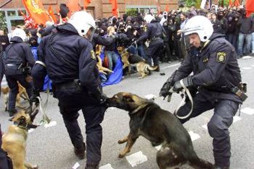 Μέσα στο γενικό χαμό ο αστυνομικός σκύλος μπερδεύει τους φίλους με τους εχθρούς και... να το αποτέλεσμα
