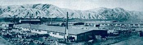 Τα προβατοτροφεία του κολχόζ «Πομπέντα» της ΣΣΔ Κιργιζίας