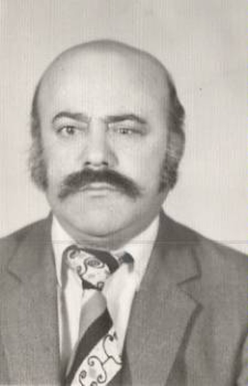 ΘΕΟΔΩΡΟΣ ΜΙΧΑΗΛΙΔΗΣ