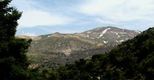 Η απελευθέρωση - ιδιωτικοποίηση της παραγωγής ηλεκτρικής ενέργειας σε συνδυασμό με τα ιδεολογήματα για πράσινη οικονομία (βλέπε ανεμογεννήτριες) δίνει τη δυνατότητα στις πολυεθνικές να βάζουν «πόδι» ακόμη και σε δασικές εκτάσεις, όπως συμβαίνει στο Παναχαϊκό