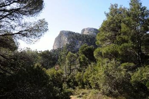 Θα περπατήσουν στη φύση, θα παίξουν, θα αθληθούν και θα προβληματιστούν οι νέοι στην εκδρομή της ΚΝΕ