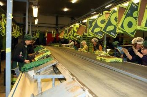 Η εντατικοποίηση και η απειλή της ανεργίας τσακίζουν την υγεία των εργατών