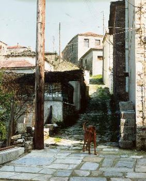 Ενα από τα πολλά πλακόστρωτα καλντερίμια του χωριού