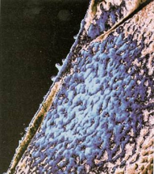 Ενα μικροσκοπικό στρώμα άμορφου και κυβικού πάγου (μπλε) σχηματίστηκε όταν οι ερευνητές ζέσταναν ένα εξαιρετικά κρύο φιλμ νερού (πάχους μερικών εκατοντάδων μορίων) ως τους 183 βαθμούς Κέλβιν (-90 βαθμοί Κελσίου)