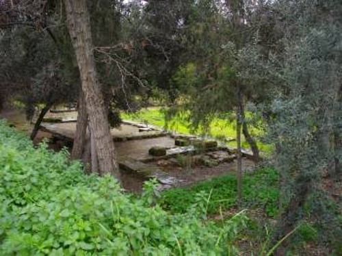 Αποψη της Ακαδημίας Πλάτωνος