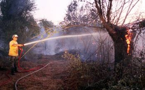 Σε αυτήν την πυρκαγιά (φωτ.) στο Βαθύ Μάνης έχασε τη ζωή του ο άτυχος αντιπύραρχος