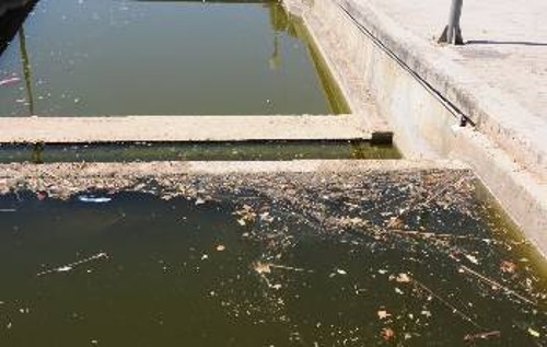 Τραγική είναι η κατάσταση στις λίμνες και στο ποτάμι του πάρκου