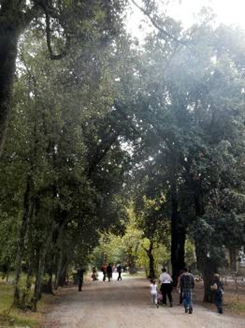 Το κτήμα Τατοΐου όταν ακόμα ήταν πράσινο