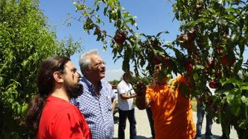 Το ΚΚΕ βρέθηκε από την πρώτη ώρα στο πλευρό των παραγωγών της Κεντρικής Μακεδονίας, που καταστράφηκε η παραγωγή τους (φωτό από περιοδεία του Σ. Ζαριανόπουλου σε Πέλλα - Ημαθία)