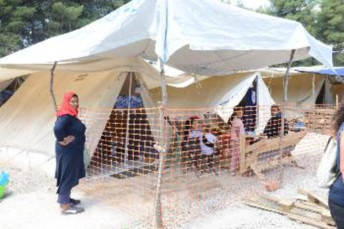 Προσπαθώντας με κάθε τι που βρίσκουν, να φτιάξουν το νέο τους «σπίτι»