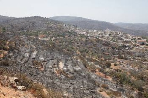 Η φωτιά κατέστρεψε ό,τι απέμεινε από την προηγούμενη στα τέλη Ιούλη (φωτ.)