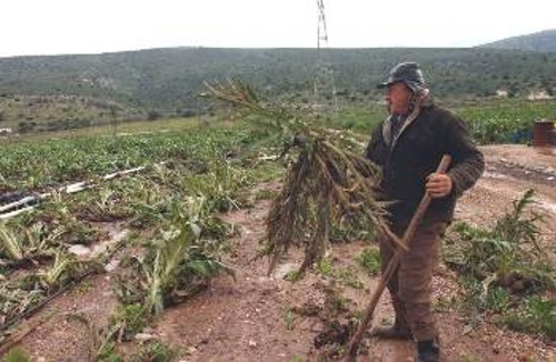 Καταστροφές από τις πλημμύρες στο χωριό Ιρια της Αργολίδας