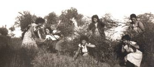 Τρίκερι. Για ξύλα και προσανάμματα