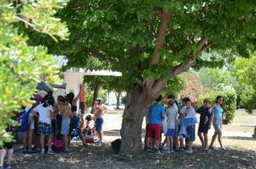 Δεκάδες παιδιά λαϊκών οικογενειών φιλοξενούνται στις κατασκηνώσεις του δήμου