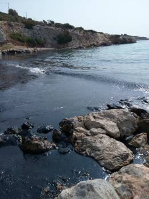 Τεράστια καταστροφή στις ακτές της Σαλαμίνας