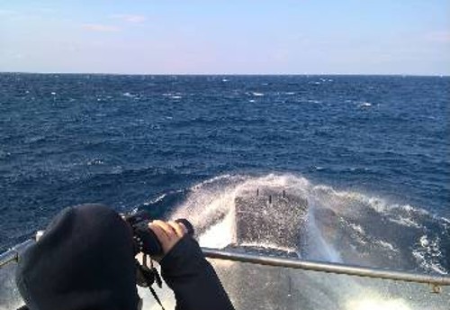 Το υποβρύχιο «ΑΜΦΙΤΡΙΤΗ» στην Κεντρική Μεσόγειο, συμμετέχοντας στην επιχείρηση της ΕΕ «EUNAVFOR MED - Operation SOPHIA»