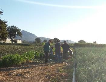 Οι μετανάστες εργάτες γης βιώνουν άγρια εκμετάλλευση