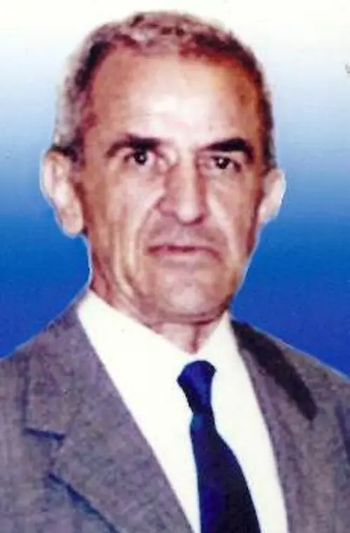 ΔΗΜΗΤΡΗΣ ΜΕΡΤΖΑΝΙΔΗΣ