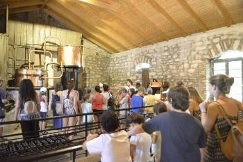 Επίσκεψη στο οινοποιείο «Achaia Clauss» για τους μικρότερους κατασκηνωτές