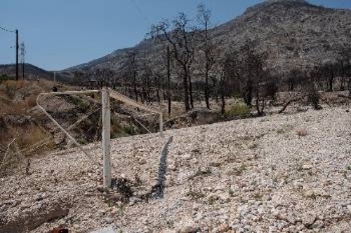 Στη συμβολή της Χρυσανθέμων με την Ακακίας υπήρχε αυτοσχέδιο γήπεδο ποδοσφαίρου. Η τωρινή του εικόνα οφείλεται στα φερτά υλικά από την πλημμύρα του περσινού Οκτώβρη που έπληξε και το Πανόραμα