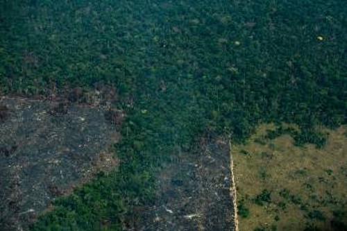 Η καμένη γη στον Αμαζόνιο διευκολύνει στη συνέχεια τον σχεδιασμό των μονοπωλίων για καπιταλιστική εκμετάλλευση