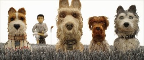 «Isle of dogs»«