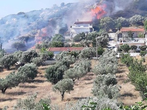Από τη φωτιά στη Λούτσα