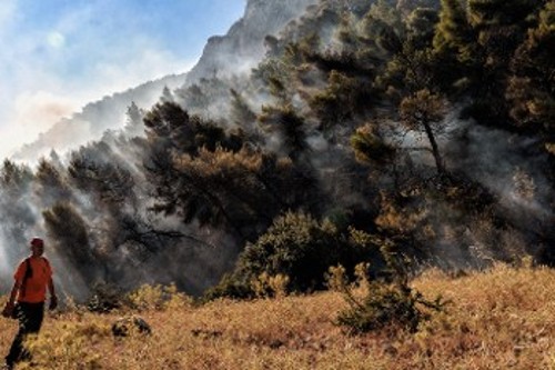 Οι πυρκαγιές σε Κορινθία και Ηλεία φανέρωσαν για άλλη μια χρονιά τις σοβαρές ελλείψεις στην πυροπροστασία
