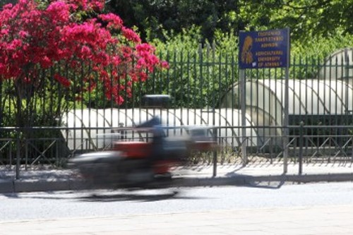 Αντί το επιστημονικό δυναμικό του Ιδρύματος να αξιοποιείται στην έρευνα για την κάλυψη των διατροφικών αναγκών του λαού της Αθήνας, αξιοποιείται σε ό,τι επιφέρει, κάθε φορά, μέγιστο κέρδος στους επιχειρηματικούς ομίλους του κλάδου