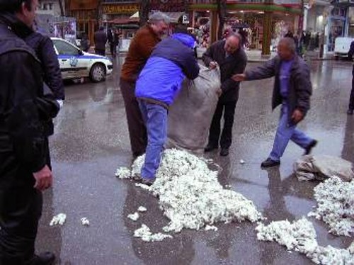 «Πετάνε» στους δρόμους το βαμβάκι τους οι αγρότες του Τυρνάβου