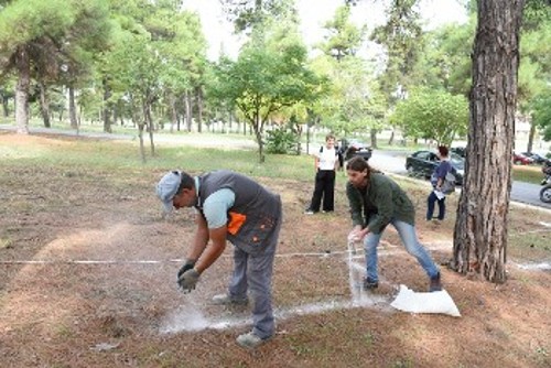 Οι εργασίες προχωρούν