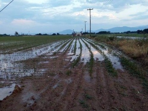Από τις πρόσφατες καταστροφές