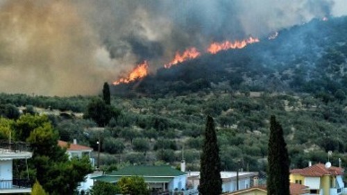 Από το πύρινο μέτωπο στην Κορινθία