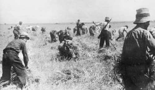 Η μάχη της σοδειάς που έδωσαν οι αντάρτες του ΕΑΜ-ΕΛΑΣ για τη σωτηρία του λαού, είναι μια ακόμα πλευρά της προσφοράς της Εθνικής Αντίστασης στο λαό μας.