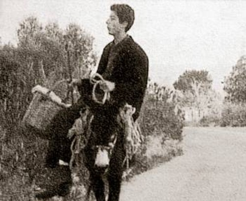Στο Ενιαίο Λύκειο Μανταμάδου Λέσβου για την ταινία «Το τελευταίο θρανίο» απονεμήθηκε το Πανελλήνιο Βραβείο του 4ου Φεστιβάλ Μαθητικών Ταινιών «Πάμε Σινεμά;»