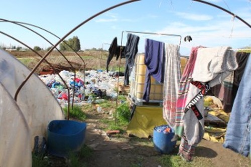 Εικόνες εξαθλίωσης στις παράγκες των φραουλοχώραφων