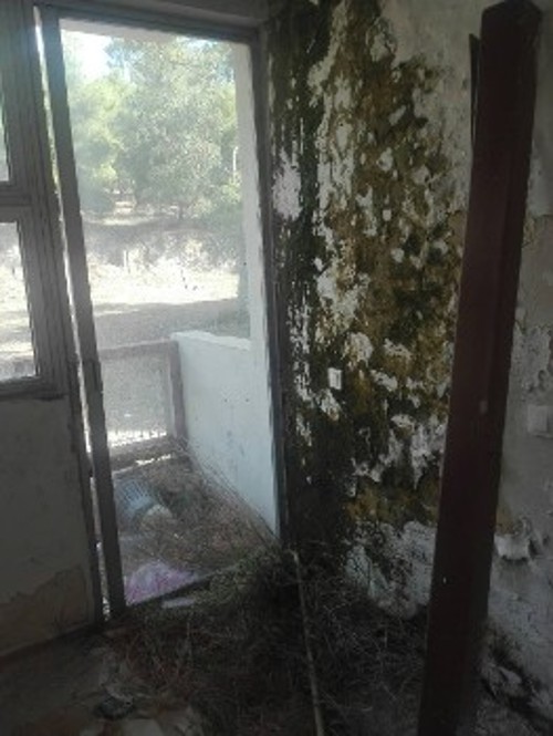 Συχνό φαινόμενο η μούχλα στους τοίχους σε κοινόχρηστους χώρους και δωμάτια