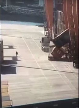 Βίντεο - ντοκουμέντο δείχνει εργάτη να τρέχει να σωθεί από την ελεύθερη πτώση δύο κοντέινερς