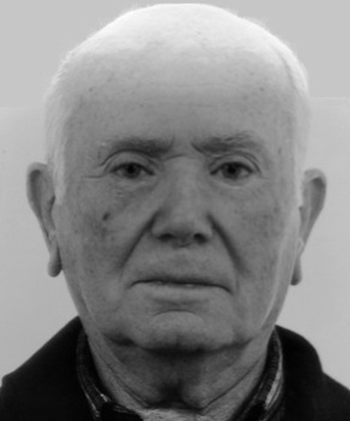 ΓΙΩΡΓΟΣ ΜΑΒΙΔΗΣ (ΖΩΡΑΣ)