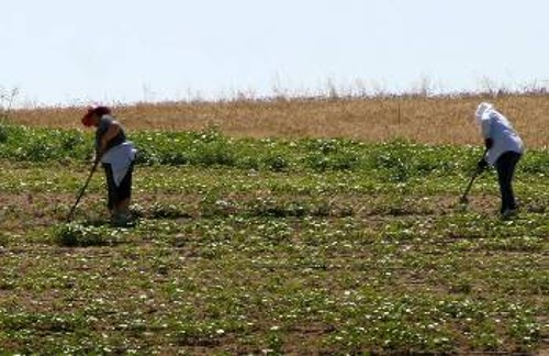 Είναι ανάγκη να συνειδητοποιηθεί εδώ και τώρα: Οταν ο αγρότης παίρνει ψίχουλα και το προϊόν του πουλιέται πανάκριβα στην αγορά, κάποιοι πρέπει να πληρώσουν γι' αυτό...