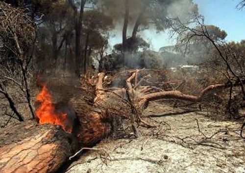 Φωτιές προκαλεί ο καύσωνας στη γειτονική Ιταλία