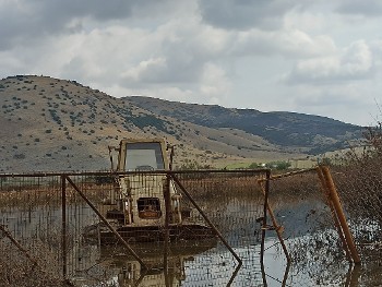 Βλοχός