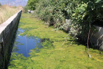 Αθλια η κατάσταση με τα αρδευτικά κανάλια