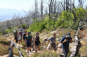 Από τη φετινή πεζοπορία στην Πάρνηθα