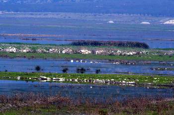 Αποψη της λίμνης Κάρλας