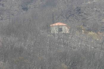Τώρα αρχίζουν οι «μπίζνες» πάνω στα καμένα