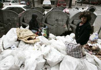 Βελιγράδι 2008: Προς αναζήτηση τροφής...